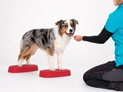 Aero-Step® One Balanceplattform für Hundetraining