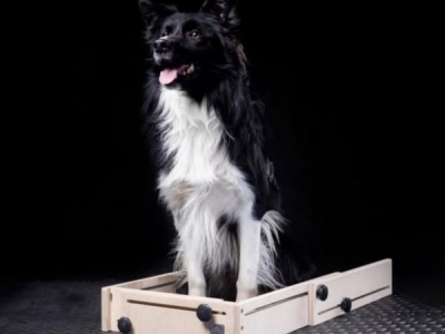 Wooddog Shapingbox / Positionsbox aus Holz