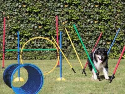Agility- und Geschicklichkeitsset