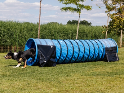  Agility-Tunnel Hundetunnel 3 m Ø 60 cm – komplett Anti-Rutsch