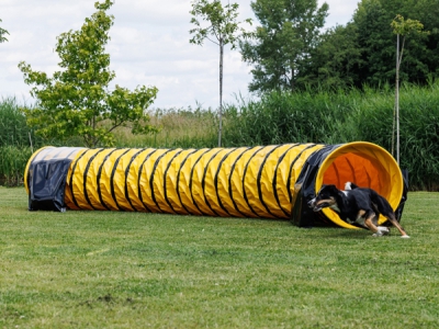 Agility-Tunnel Hundetunnel 5 m Ø 60 cm – komplett Anti-Rutsch