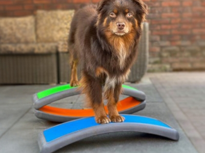 Arches – Set mit 3 Trainingsbögen