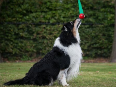 Ball mit Schleife, inklusive Unterrichtsplan