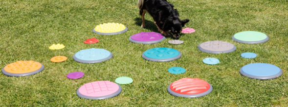 Die Sinne im Schnüffelgarten anregen
