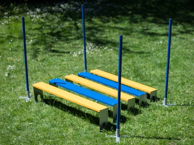 Professioneller FCI Weitsprung