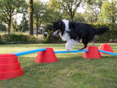 Build N Balance Balanceparcours 10-teilig