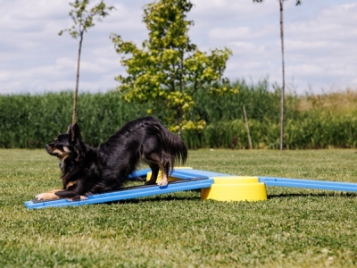 Build N’ Balance Parcours Basisset 10-teilig