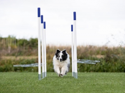 Transparenter Verbindungsbogen für Slalom / Channelwire