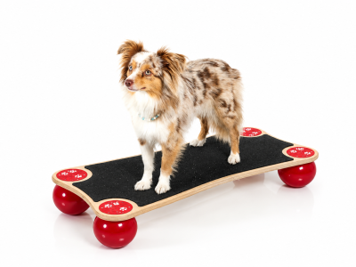 Dog Balance Step Medium – inkl. Anti-Rutsch-Material