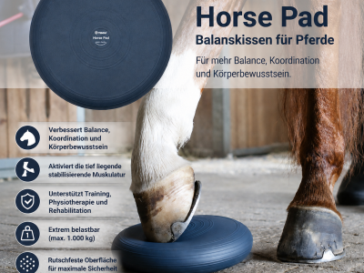 Horse Balance Pad – Balance Pad für Pferde