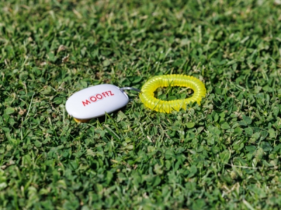 Clicker-Armband mit Unterrichtsplan