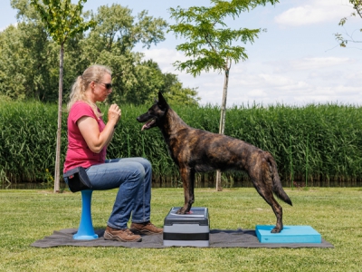 OneLeg Balance Hocker 40 cm