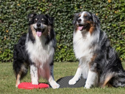 Balancekissen Junior mit Noppen (Ø 32 cm, rot)