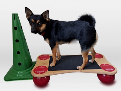 Dog Balance Step Mini – inkl. Anti-Rutsch-Material