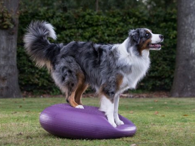 Extreme Balancekissen 80 cm