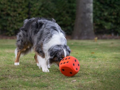 Schaumstoffwürfel 15 cm