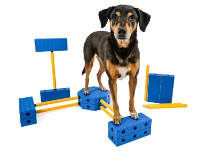 FitPaws FitKinect Xtra