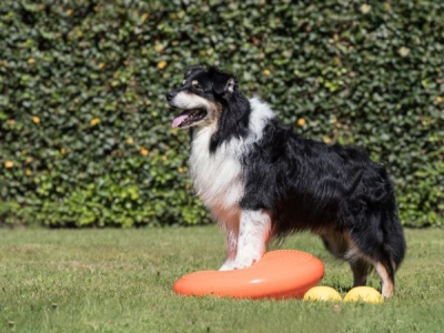 Balance-Set 5-teilig