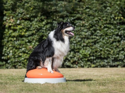 MOOFFZ Balance-Kissen 55 cm – inkl. Untergestell