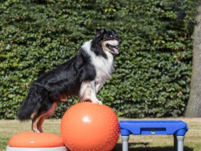 5-teiliges Challenge Set