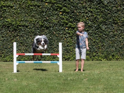 Hürde mit 2 Sprungstangen