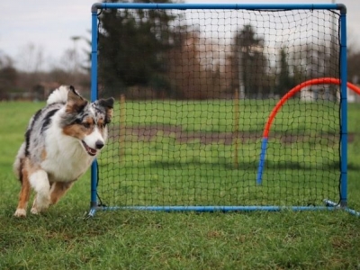 Hoopers Tor aus Kunststoff