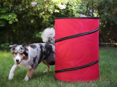 Faltbare Hoopers-Tonne