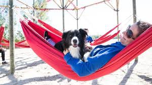 Auch in diesem Jahr hatten Tierliebhaber eine tolle Zeit in Hilvarenbeek