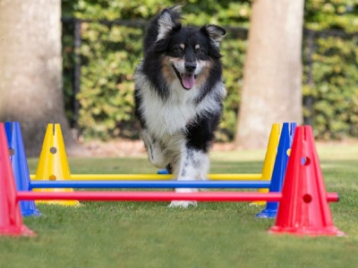 Trainingsstangen 120 cm