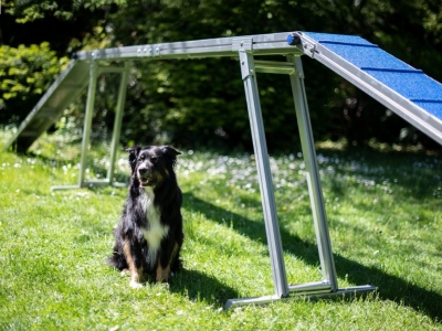 Katzenlauf FCI Aluminium