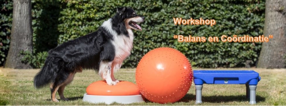 Workshop zu Gleichgewicht und Koordination