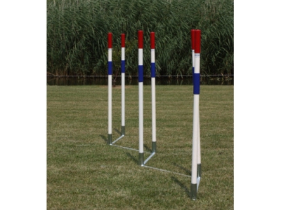 Kurzer Agility-Slalom mit Scharnieren