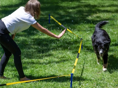 Longier-Set für Hunde - Zirkeltraining set