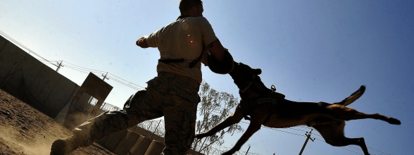 Ausbildung - nur Grundlagen