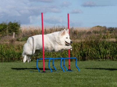Mini-Hürdenset, 8-teilig inkl. Tragetasche