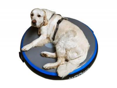 MOOFFZ Airspot Ø100 cm – inkl. Pumpe & Tasche