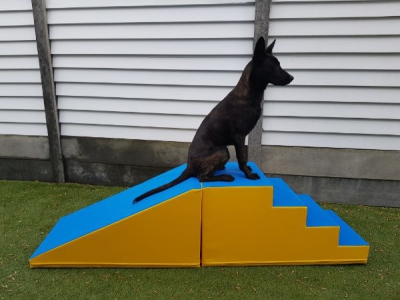 Mooffz Soft Play Schaumstoff-Set 2-teilig – Treppe und Rampe (groß)