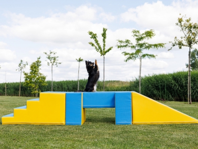 Mooffz Schaumstoff-Set 5-teilig – Brücke für Hundetraining