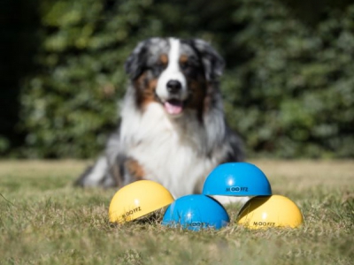 Mooffz Balance-Steine Set (4-teilig) - inklusive Unterrichtsplan