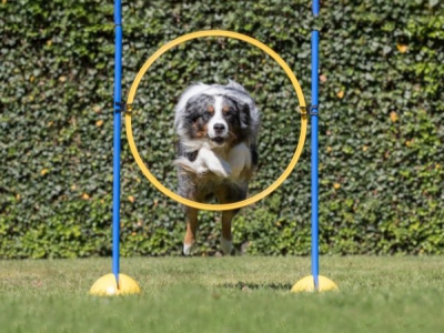 Multifunktionales Fuß-Set 7-teilig