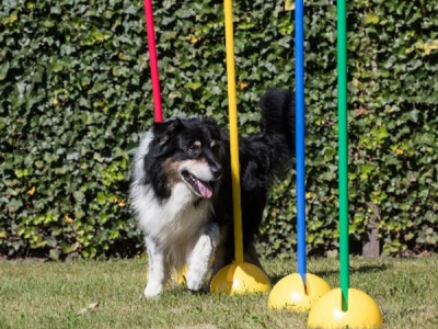 Multifunktionales Fuß-Set mit Reifen und Stangen