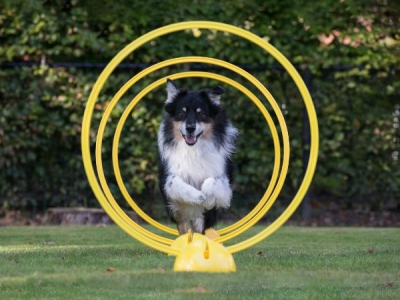 Multifunktionaler Fuß für Reifen