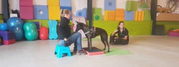 Gleichgewicht und Koordination