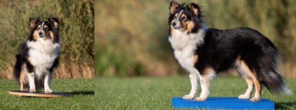 Den Prozess in kleine Abschnitte unterteilen