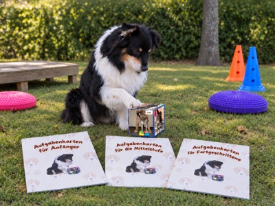 Aufgabenkarten für den Aufgabewürfel – Hundetraining
