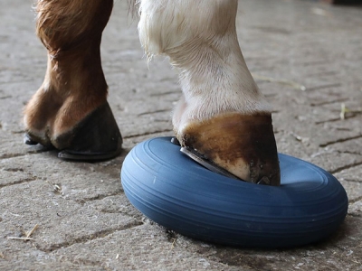 Horse Balance Pad – Balance Pad für Pferde