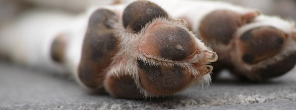 Winterspaß, 4 wertvolle Tipps