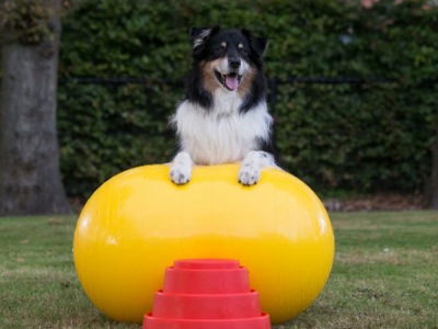 Peanut Ball / Pinda Ball