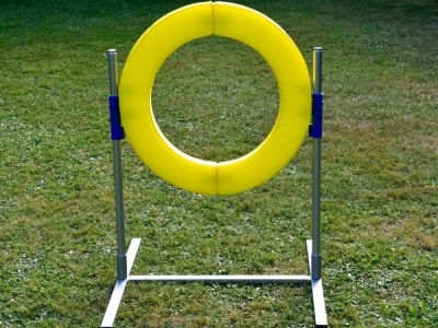 Professioneller FCI Break-Tire-Sprung