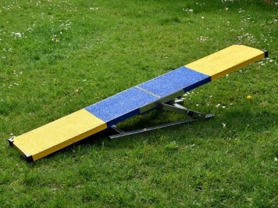 Kleine Agility-Wippe für Welpentraining